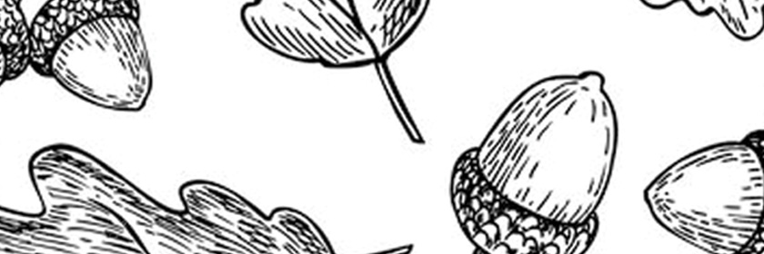Flower with meaning Illustrated Acorn background